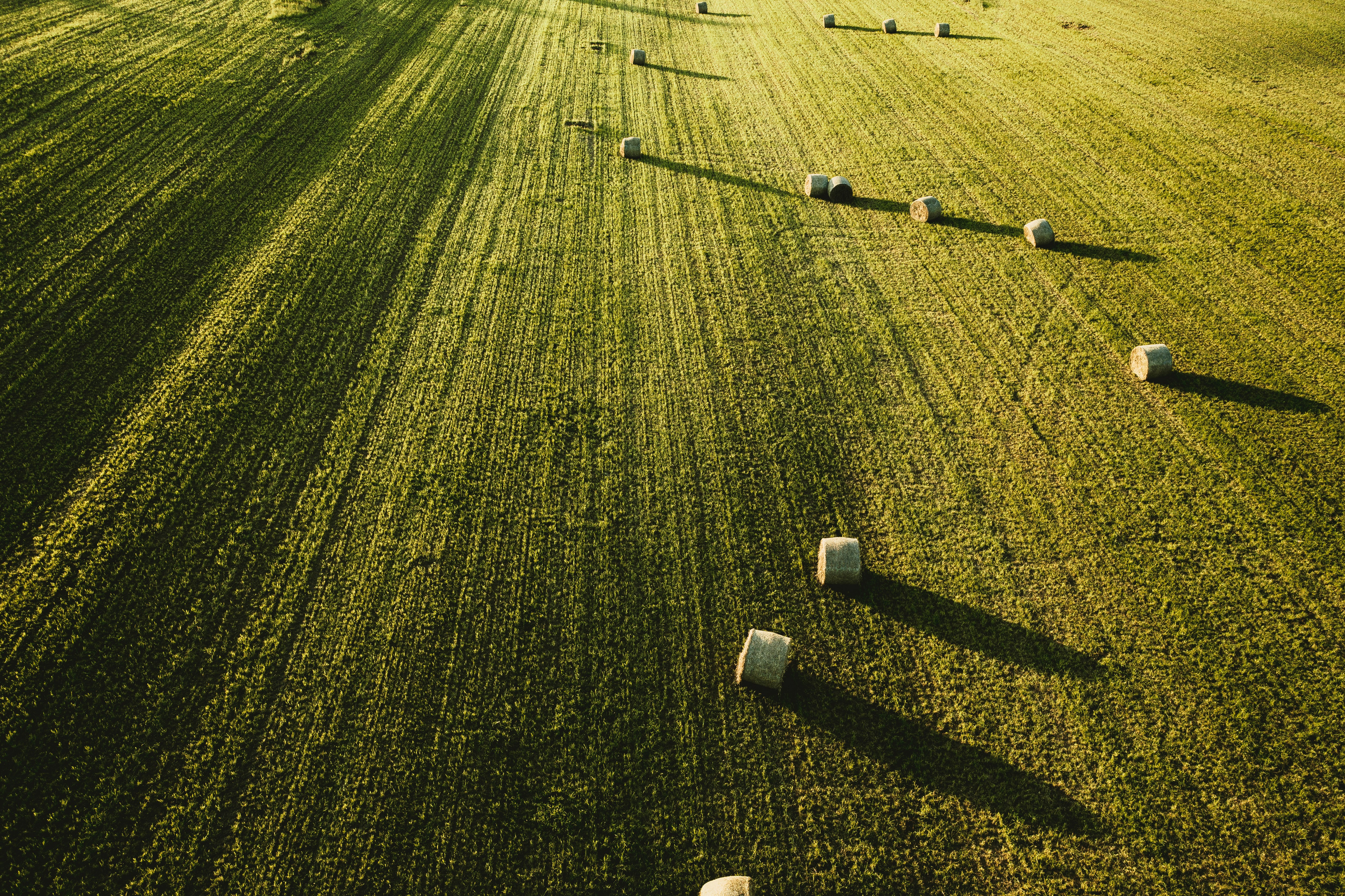 aerial photography of roll hays on field